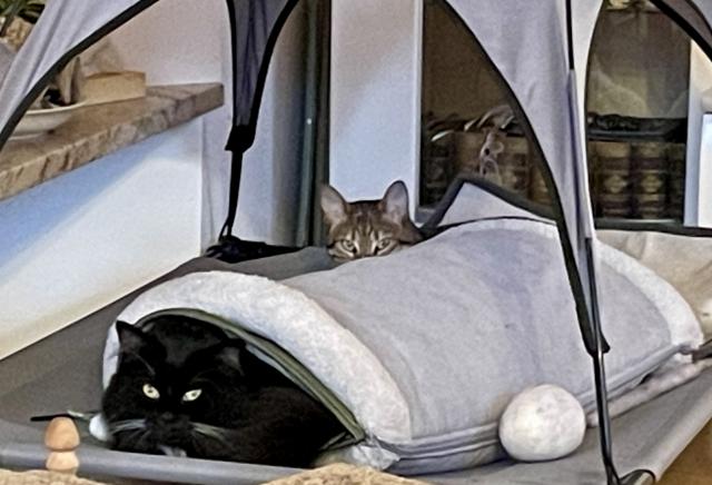 N�jak se n�m ochladilo, tak jsme se podle toho za��dili😹