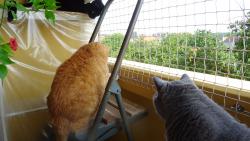 M�me tuze d�le�itou pr�ci.