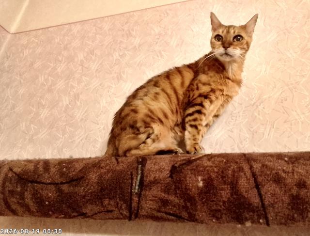Dnes m�m narozeniny. Uhodnete kolik�t�?
