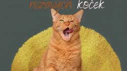 Všechno nejlepší všem rezavým kamarádům.