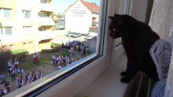 No to m� �kr�bni dr�pem, co se to venku d�je ?