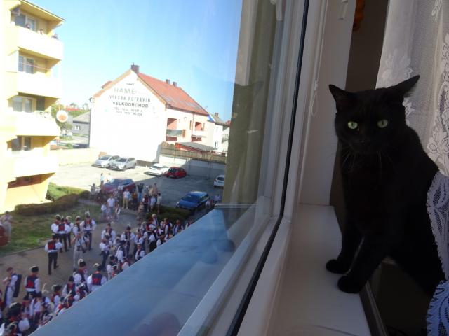 Teda to jsem je�t� nikdy nevid�l.