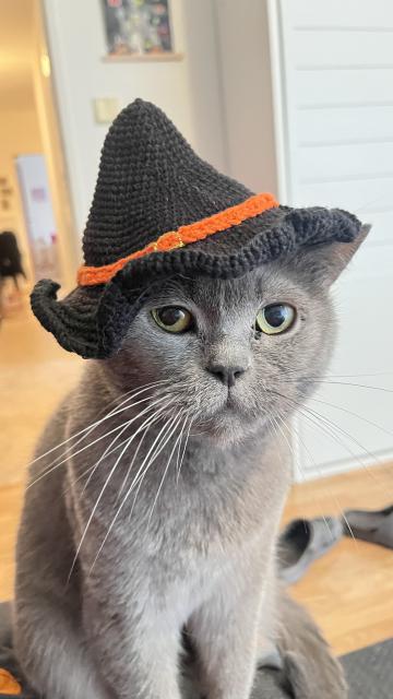 Jak� bub�k! Jsem kr�sn� �arod�jka