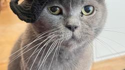 Jak� bub�k! Jsem kr�sn� �arod�jka