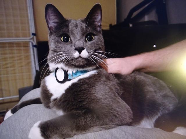 Fotka u koment��e