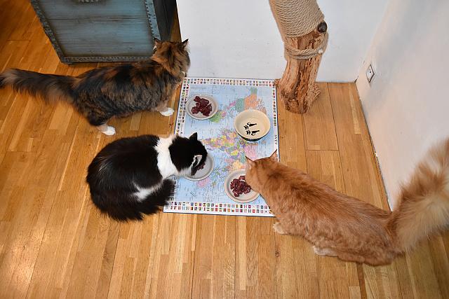 Fotka u koment��e