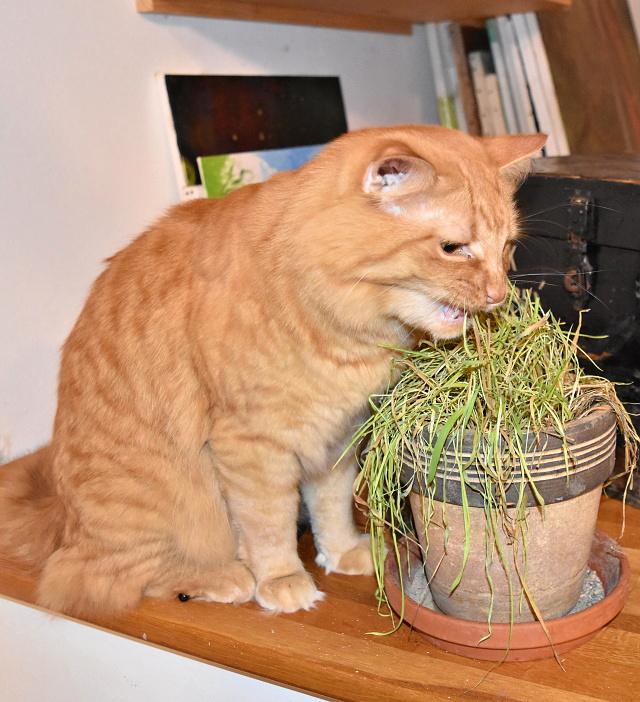 Fotka u koment��e