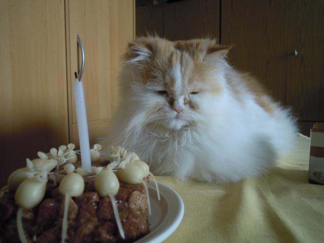 Fotka u koment��e