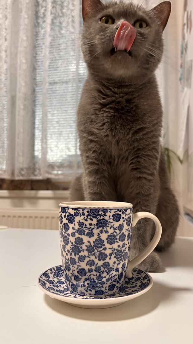 Fotka u koment��e