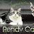 Rendy Cat, CZ - Chovatelské stanice