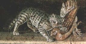Kočka a umění - starověk