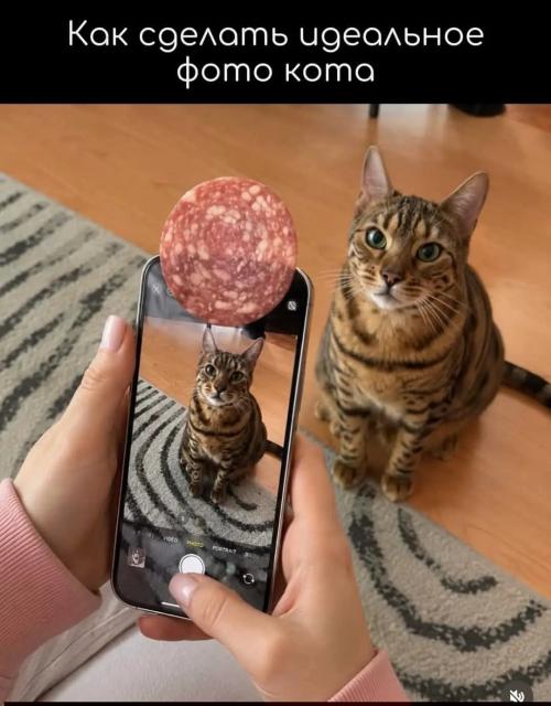 :))))))