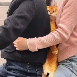 .-)