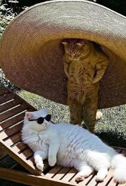 D�entlas.-))
