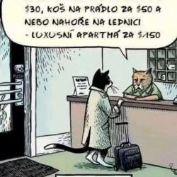 .-))))