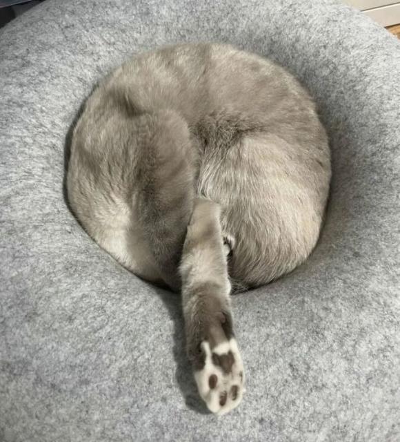 Jak na curling.-))))