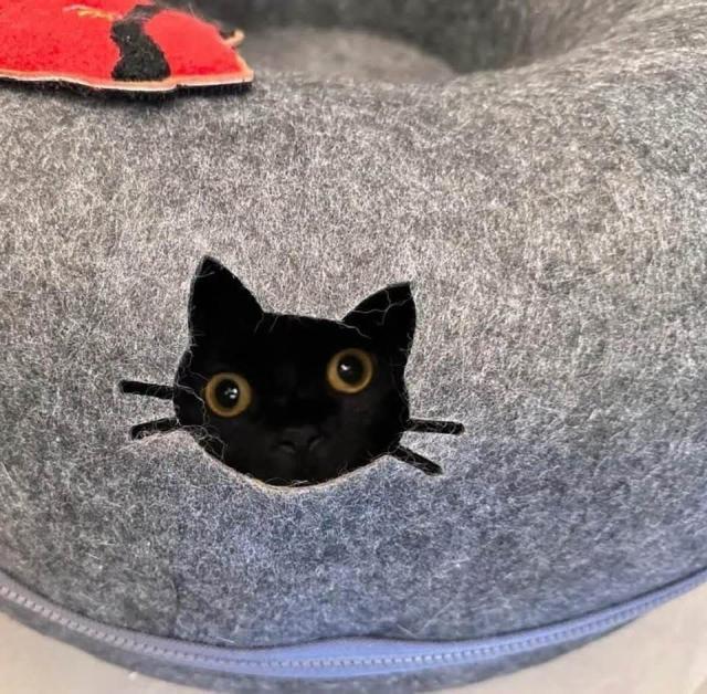 :)))