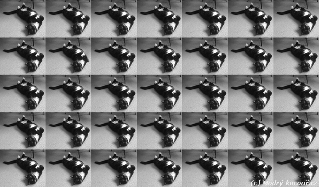 Kv�zou� 23: Najd�te rozd�ln� pol��ko