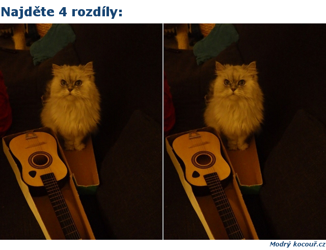 Kvízouř 3: Najděte 4 rozdíly