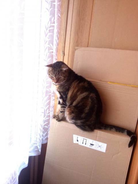 ,njak nov rozhledna,ju nov nbyteek bude,u se tm,a na nj vylezu