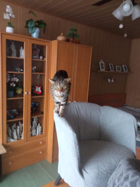 jsem p�n��ku lovec