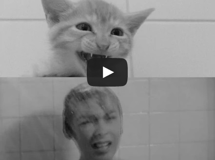 Video: Kočičí Psycho