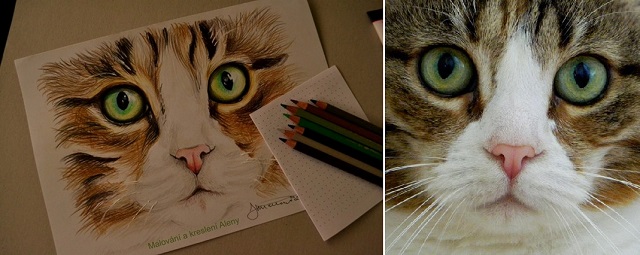 Jak nakreslit kočku 8