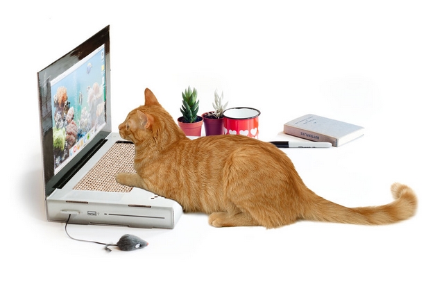 Kočičí laptop-škrabadlo ze SuckUK