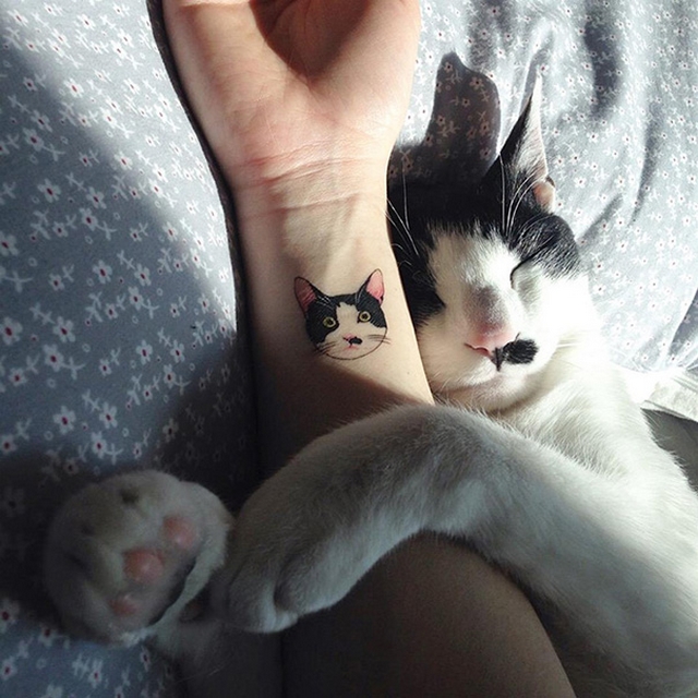 Kočičí tetování 12