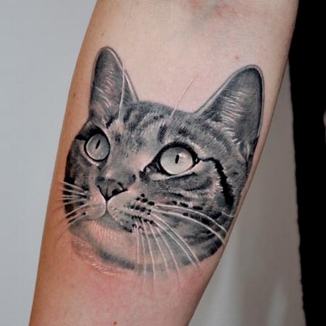 Kočičí tetování 13