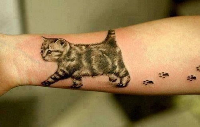 Kočičí tetování 2