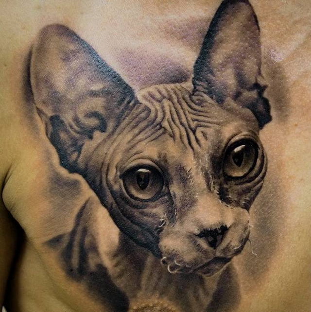 Kočičí tetování 5