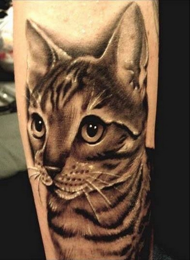 Kočičí tetování 6