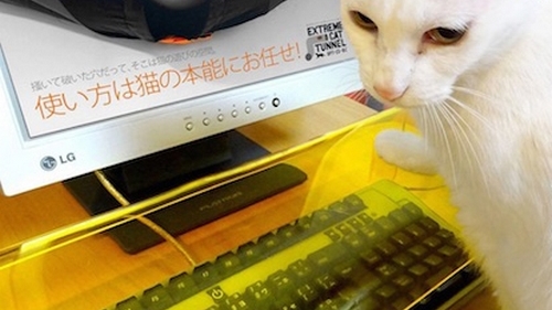 Proti-kočkový kryt na klávesnici