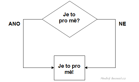 Kočičí rozhodovací diagram