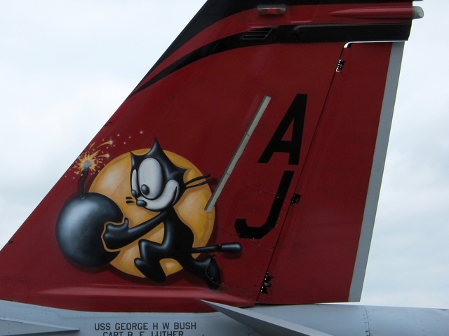 Kocour Felix na směrovce F/A-18E