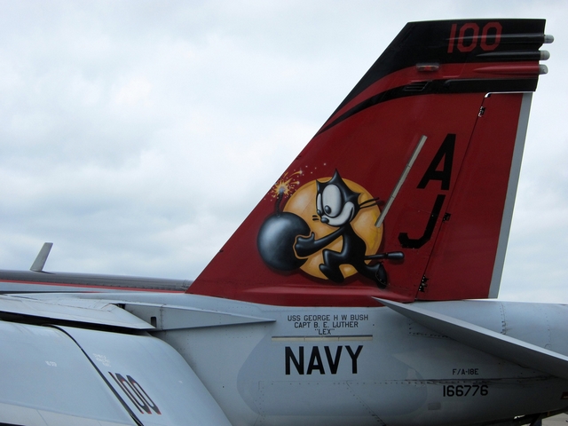 Kocour Felix na směrovce F/A-18E