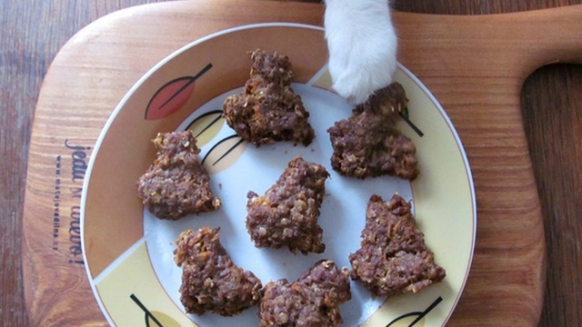 Vaříme pro kočky: Recept na hovězí mrkvánky