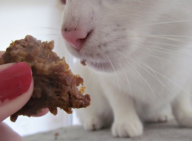 Vaříme pro kočky: recept na hovězí mrkvánky - P.S.: Vločka mě omylem kousla