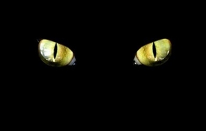 Kočičí oči / Cat's eyes