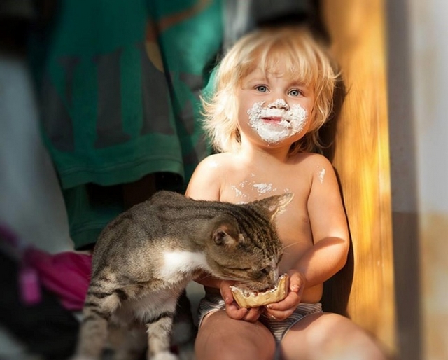 Kočky a děti / Cats and kids