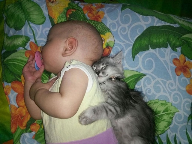 Kočky a děti / Cats and children