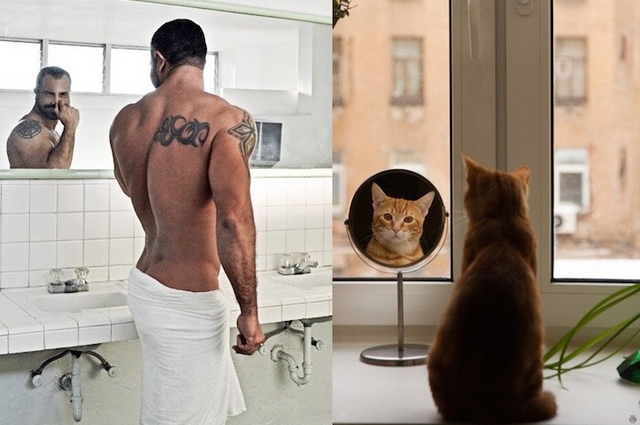 Muži versus kočky / Men vs. cats
