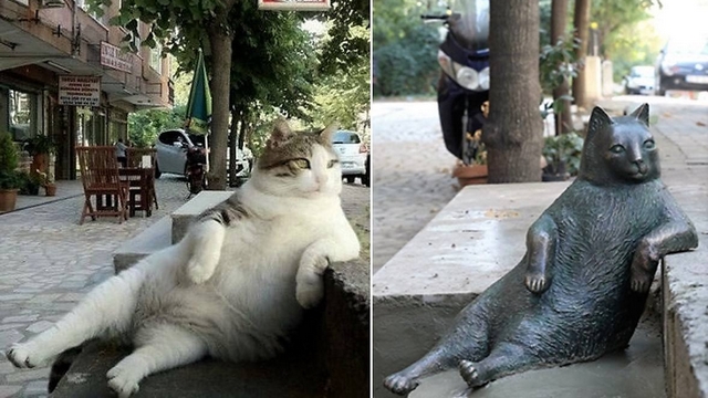Kocour Tombili má v Istanbulu svou sochu