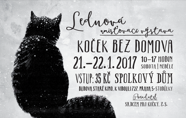 Lednová umisťovací výstava koček bez domova Srdcem pro kočky, z. s., 21. a 22. ledna 2017