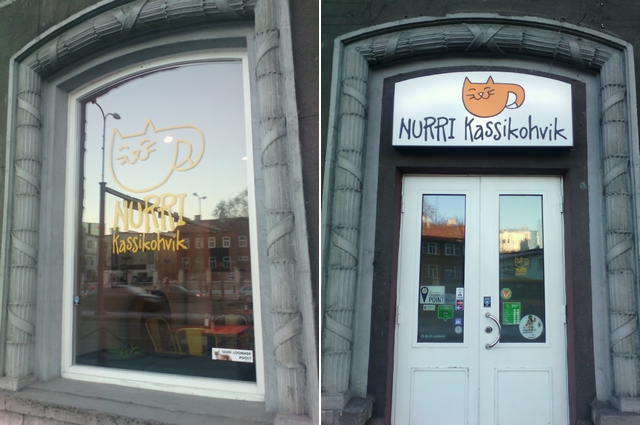 Kočičí kavárna, Cat Café Nurri, Tallinn, Estonsko