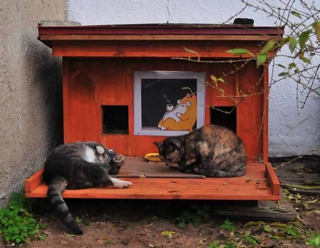 V Rize staví pro toulavé kočky dřevěné domečky