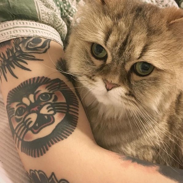 Fotočlánek: Kočičí tetování trochu jinak
