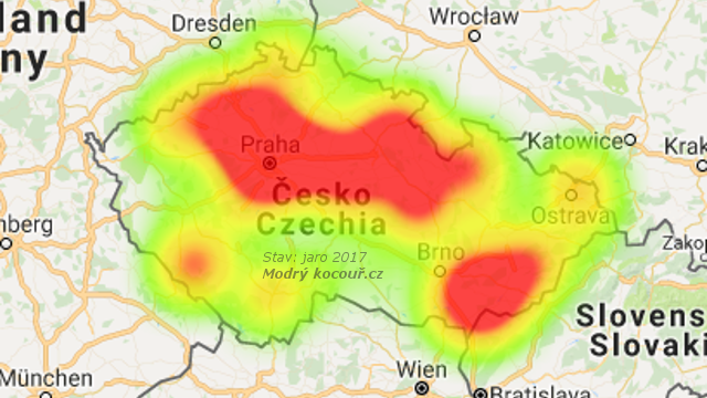 Kolik je koček v českých útulcích na jaře 2017? Máme výsledky našeho průzkumu