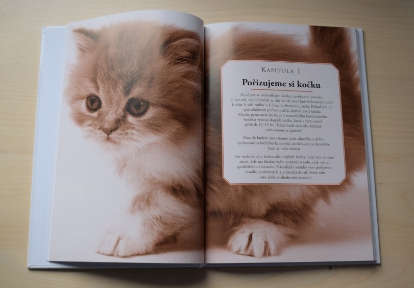 Recenze knihy - Joan Moore: Péče o kočku (rádce chovatele)